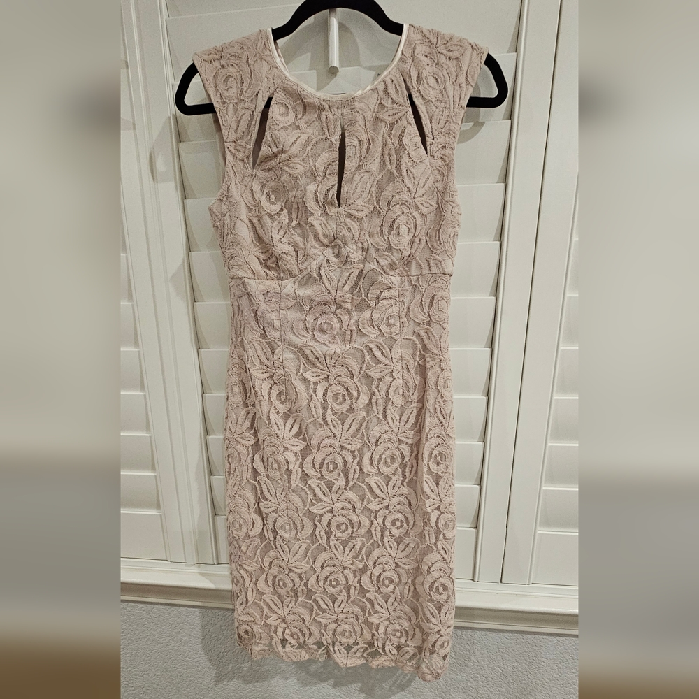 Wallis Lace Sheath Dress